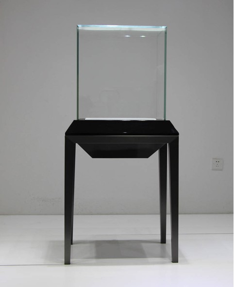 Luxury Modern Floor Standing Glass Top Jewelry Tower Display Case