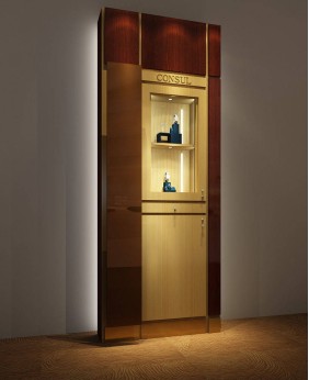 Luxury Tall Wall Jewelry Watch Display Showcase Cabinet