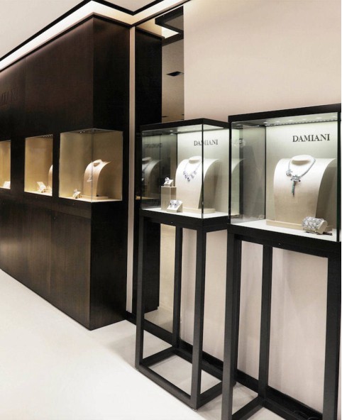 High End Display Showcase For Jewelry Store