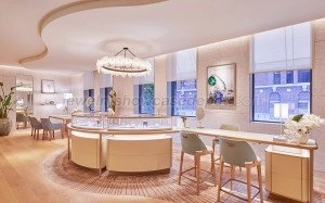 cartier jewelry display counter