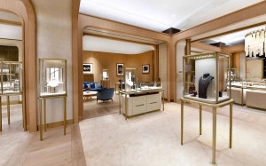 Jewelry Display Case